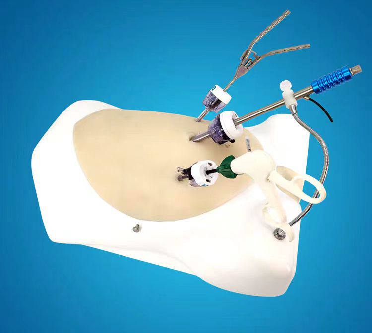 GynaeScope Simulator